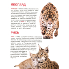 Дикі тварини. Велика книжка