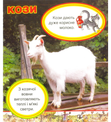 Наші помічники