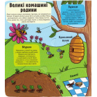 Маленькі дослідники: Комашки
