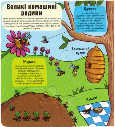 Маленькі дослідники: Комашки