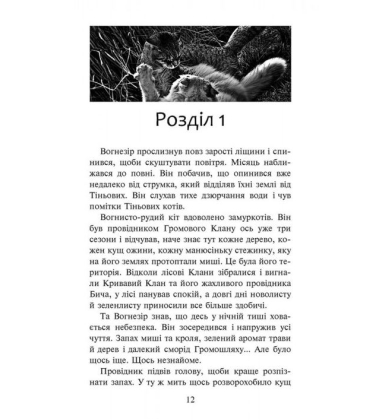 Коти-вояки. Шлях Вогнезора