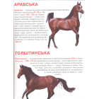 Коні і поні. Велика книжка