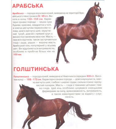 Коні і поні. Велика книжка