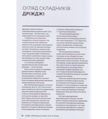 Пиво: еволюція смаку в 50 стилях
