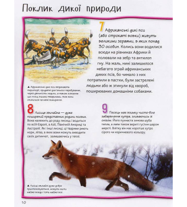 100 фактів про собак і цуценят
