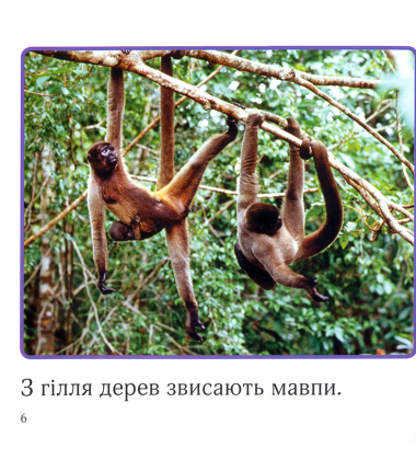 Джунглі