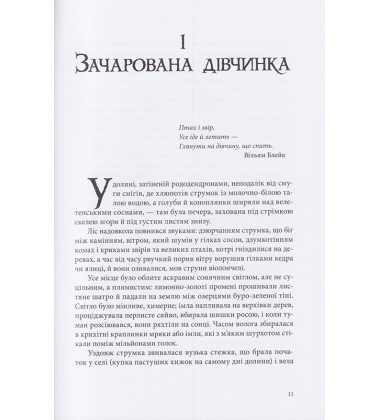 Темні матерії. Книга 3. Янтарний телескоп