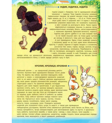Енциклопедія з наліпками. Свійські тварини. (+ настільна гра)