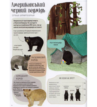 Ведмежа книга