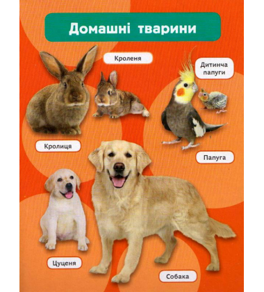 Мами і малюки