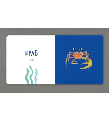 Морскі тварини