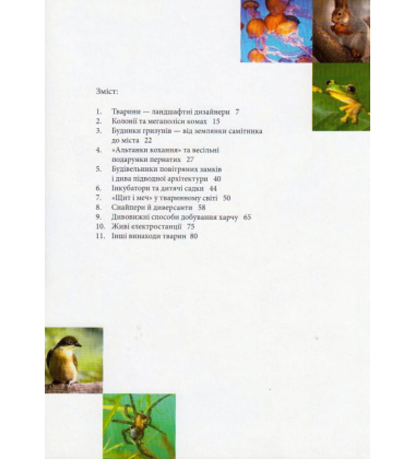 Тварини - винахідники і будівельники