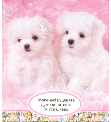 Вірні друзі