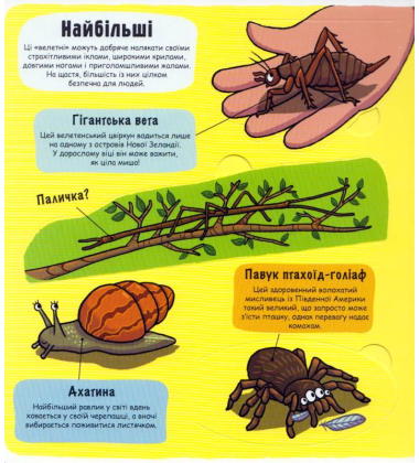 Маленькі дослідники: Комашки