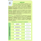 Математика. 1-4 класи