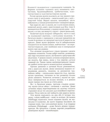 Жуки та інші поважні особи