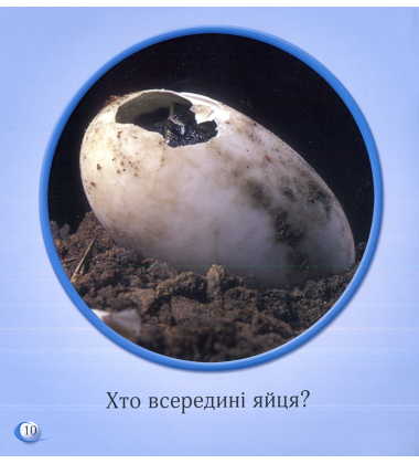 Що всередині?