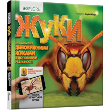 Жуки
