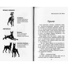 Зграя. Книга 1. Спорожніле місто