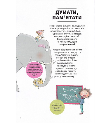 Тіло людини зсередини