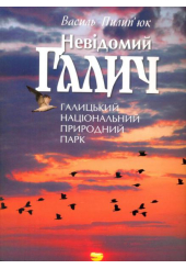 Невідомий Галич