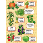 Фрукти та овочі. Fruit and Vegetables. Перші слова