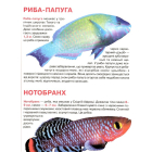 Тропічні риби. Велика книжка