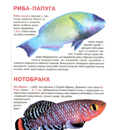Тропічні риби. Велика книжка