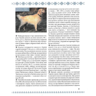 Велика книга маленьких українців