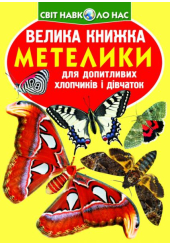 Метелики. Велика книжка
