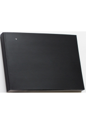 Black Album