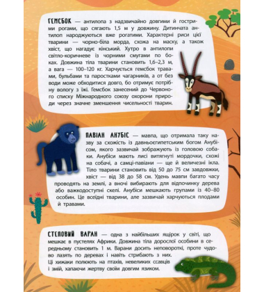 Спекотна пустеля. Панорамка-енциклопедія
