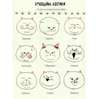 Котюрморт. Як малювати котиків