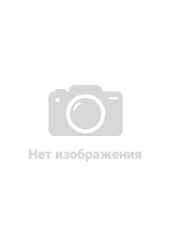 Геноциди Сталіна